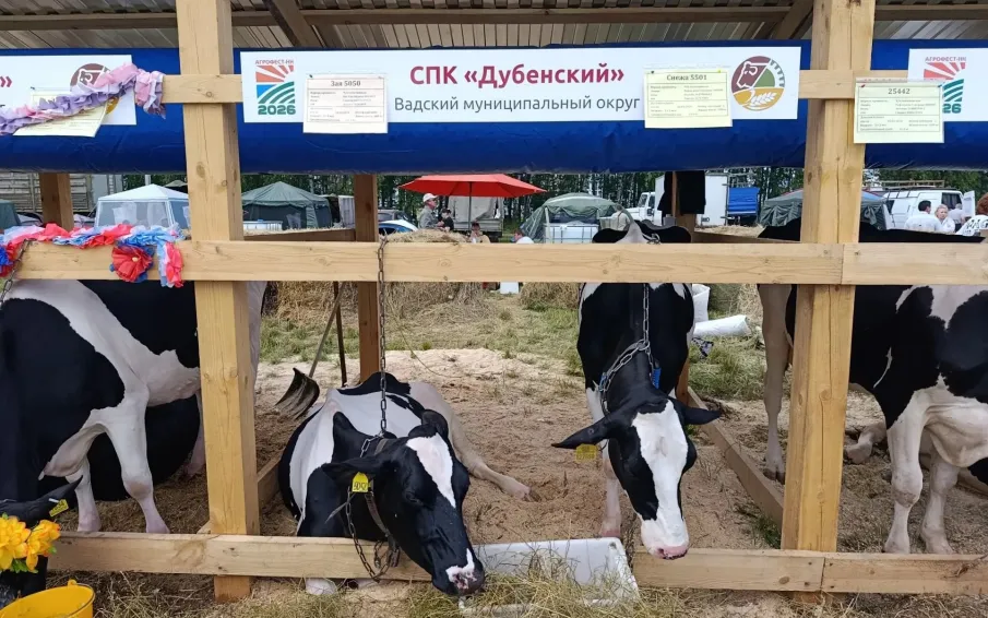 Агропромышленная выставка «День поля»